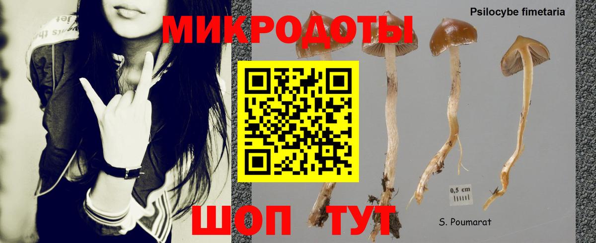 Псилоцибиновые грибы GOLDEN TEACHER Урюпинск
