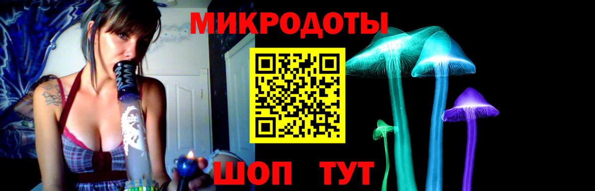 Псилоцибиновые грибы Cubensis  Вход с VPN  Урюпинск  Галлюциногенные грибы Psilocybe 